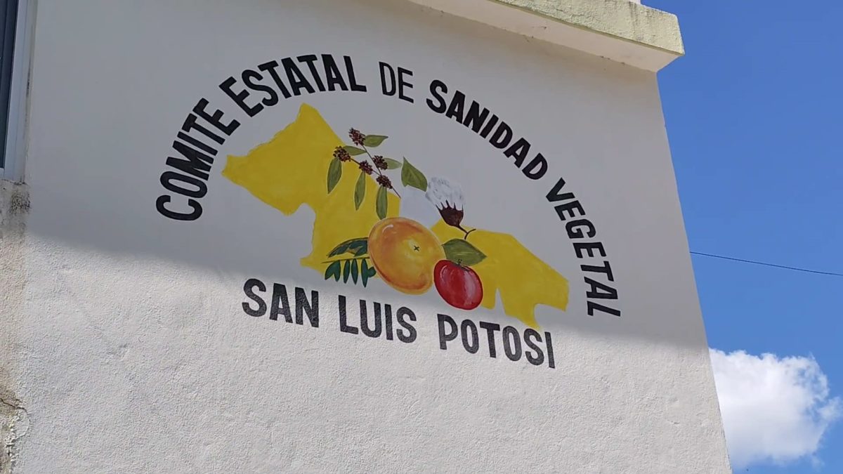 Froi01Sanidad