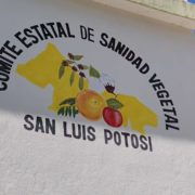 Froi01Sanidad