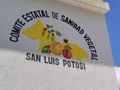 Dragón amarillo, principal desafío para citricultura en Zona Media 2 Froi01Sanidad