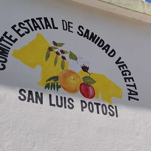 Froi01Sanidad