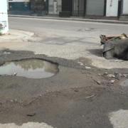 De proliferacion de bache
