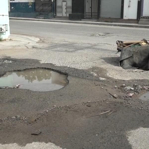 De proliferacion de bache