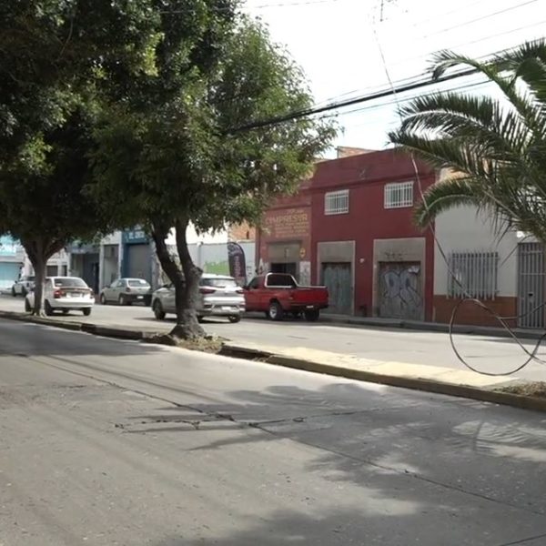Pende cableado en camellon de Damian Carmona